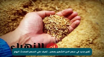 تغير جديد في سعر الأرز الشعير بمصر.. تعرف على السعر المحدث اليوم
